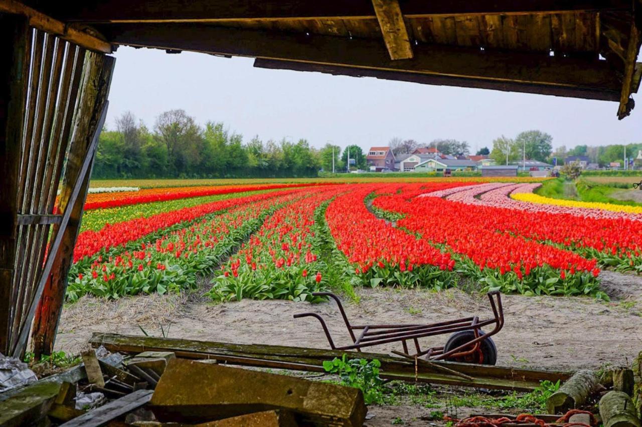 Tulp&zee, Aan Zee Vakantiehuis